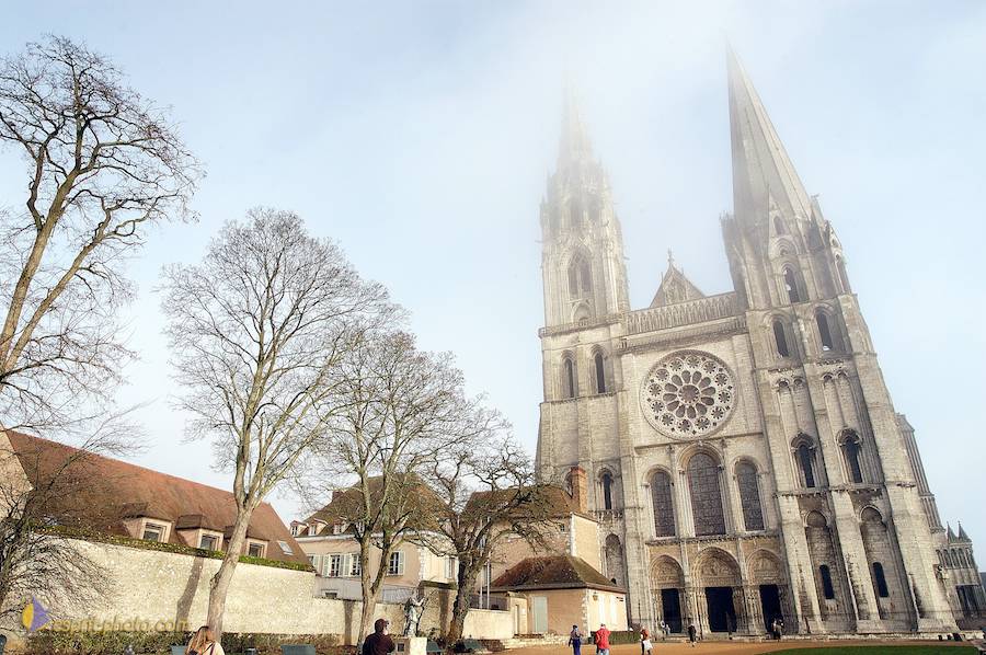 Nom de l'image : D1107469-nef-01_(c)Norbert-JUNG — Description :